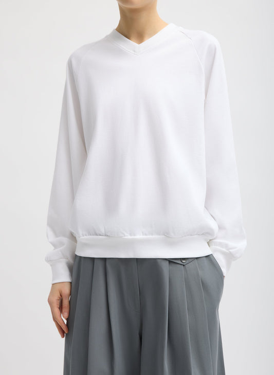 Perfect T-Shirt Vintage Sweatshirt | Tibi Premium