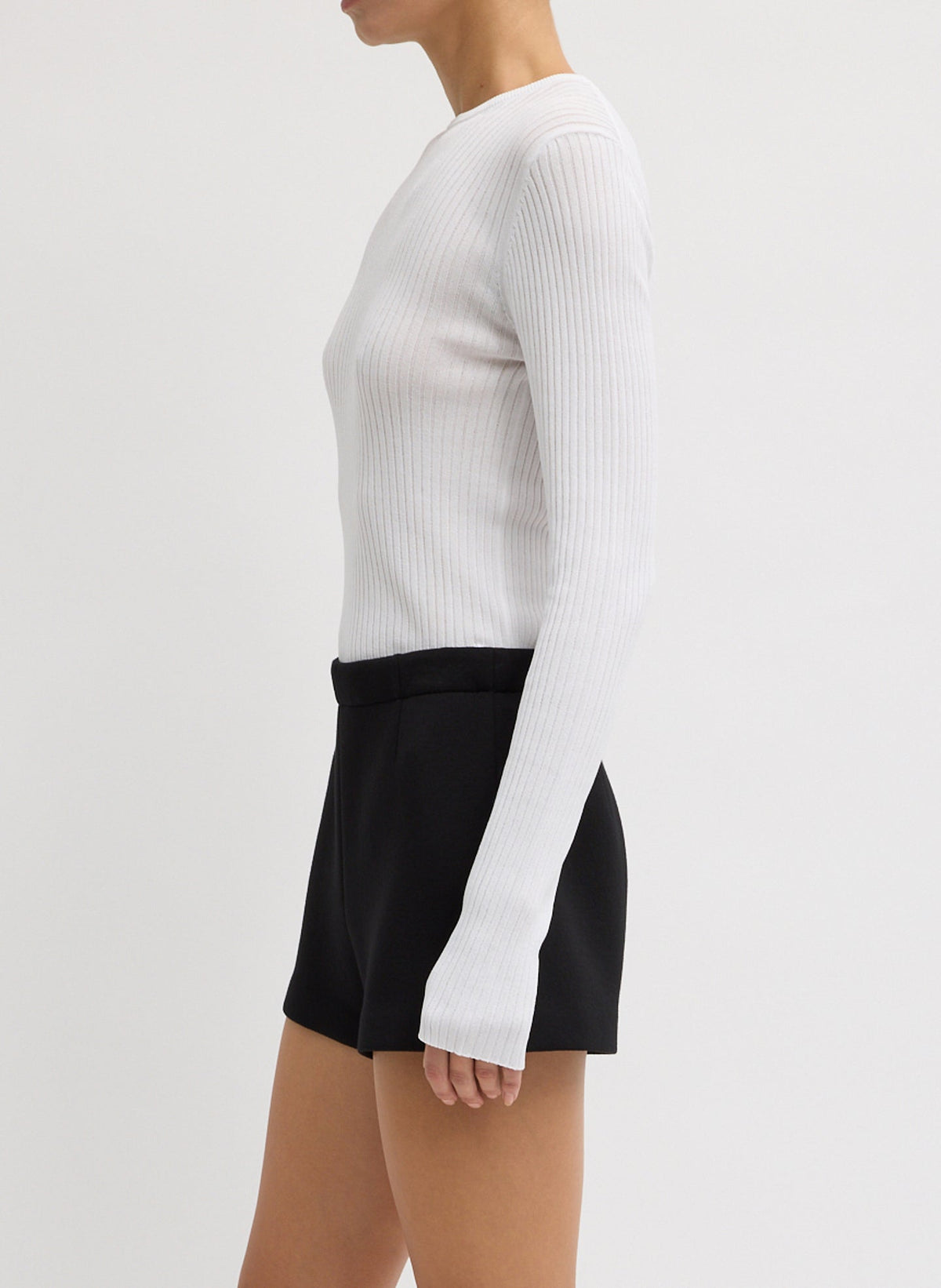Ribbed Sweater Crewneck Pullover | Tibi Classic