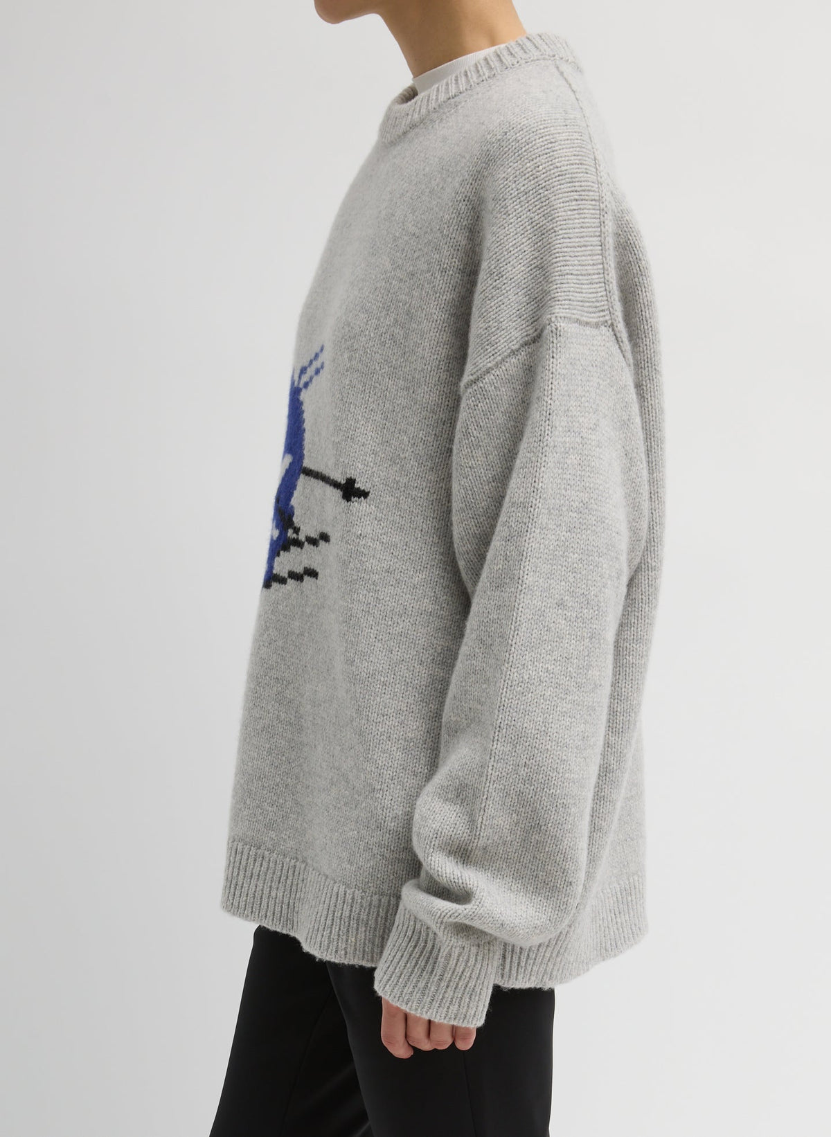 Soft Wool Ski Easy Pullover Crewneck Sweater | Tibi Recommended