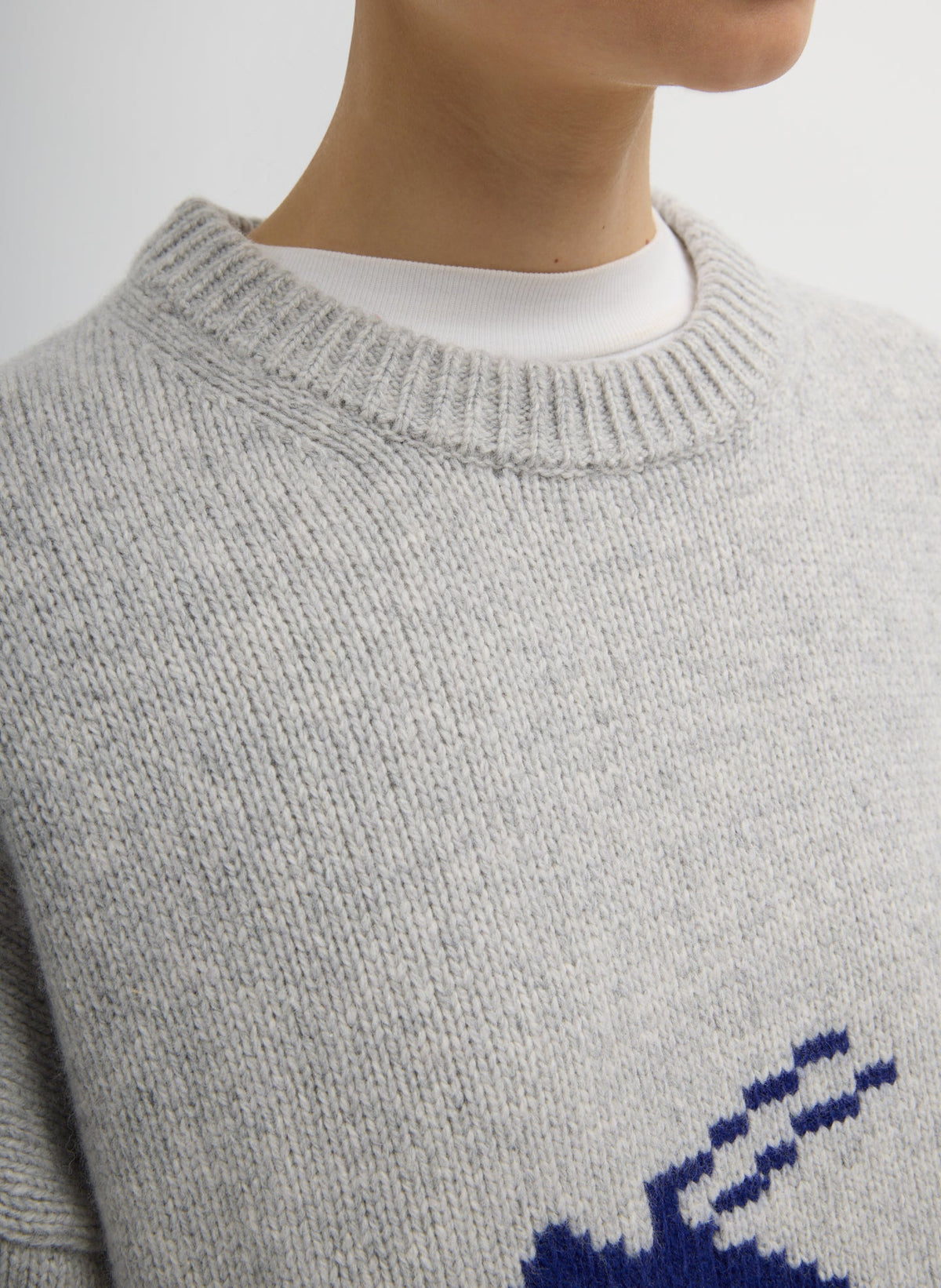 Soft Wool Ski Easy Pullover Crewneck Sweater | Tibi Recommended