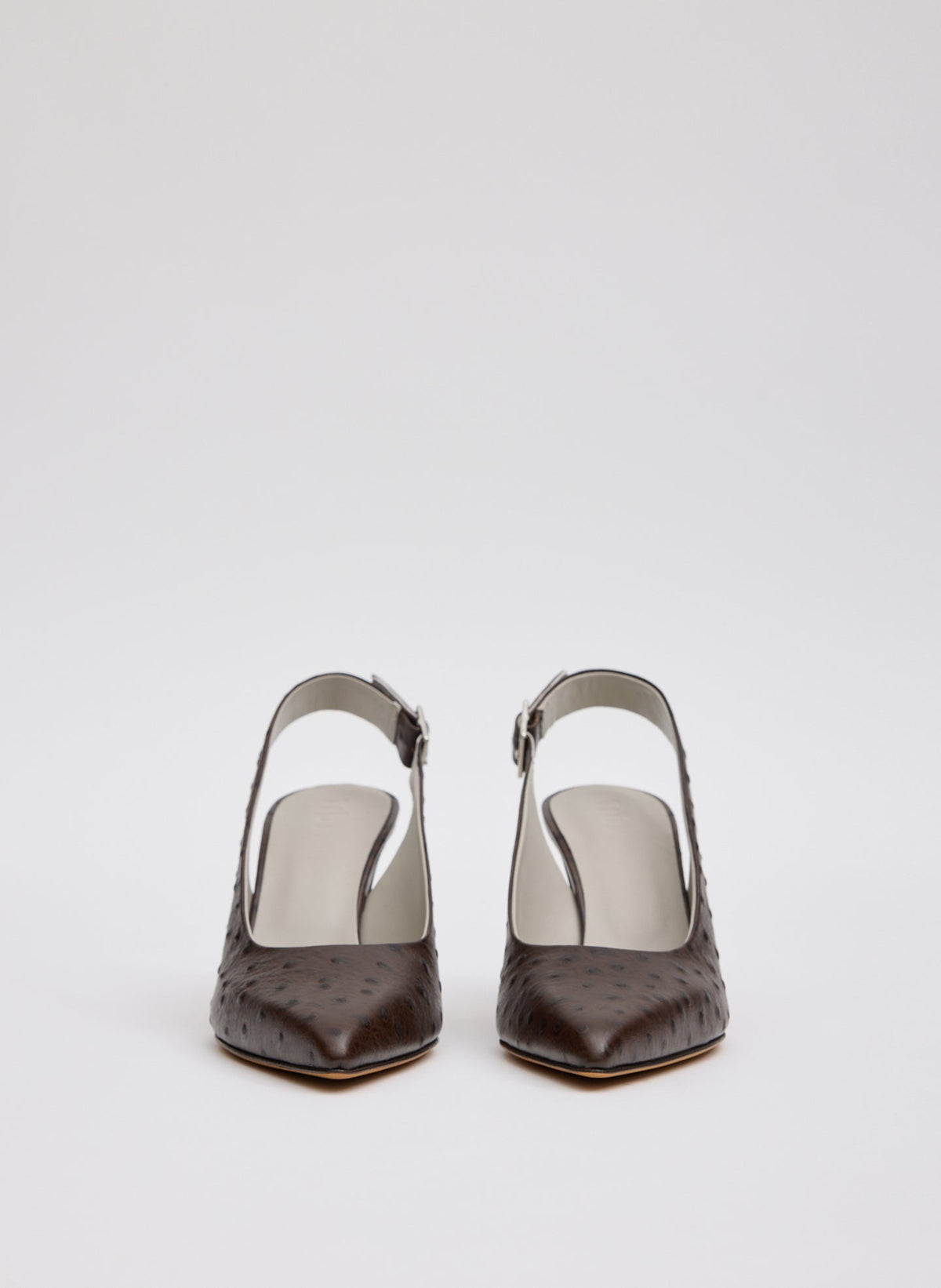 Ostrich Print Reyner Pump | Tibi Premium