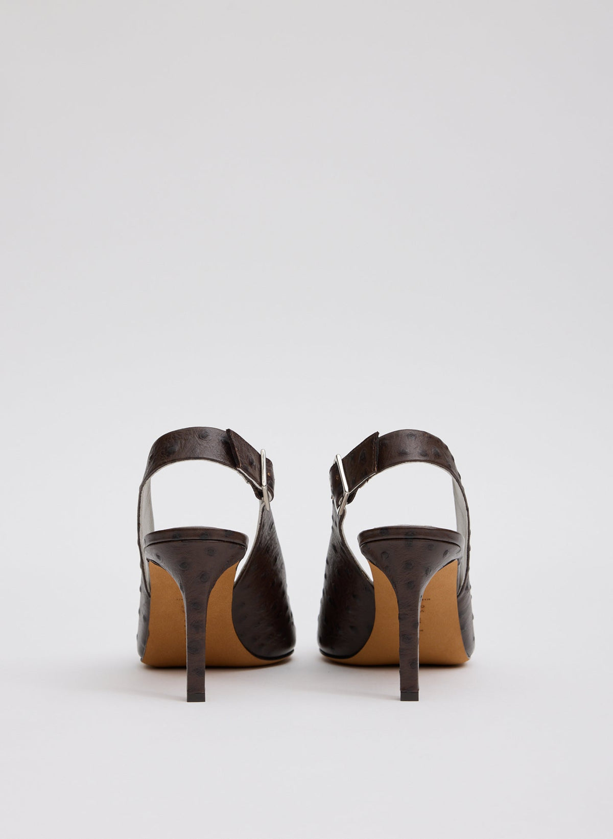 Ostrich Print Reyner Pump | Tibi Premium