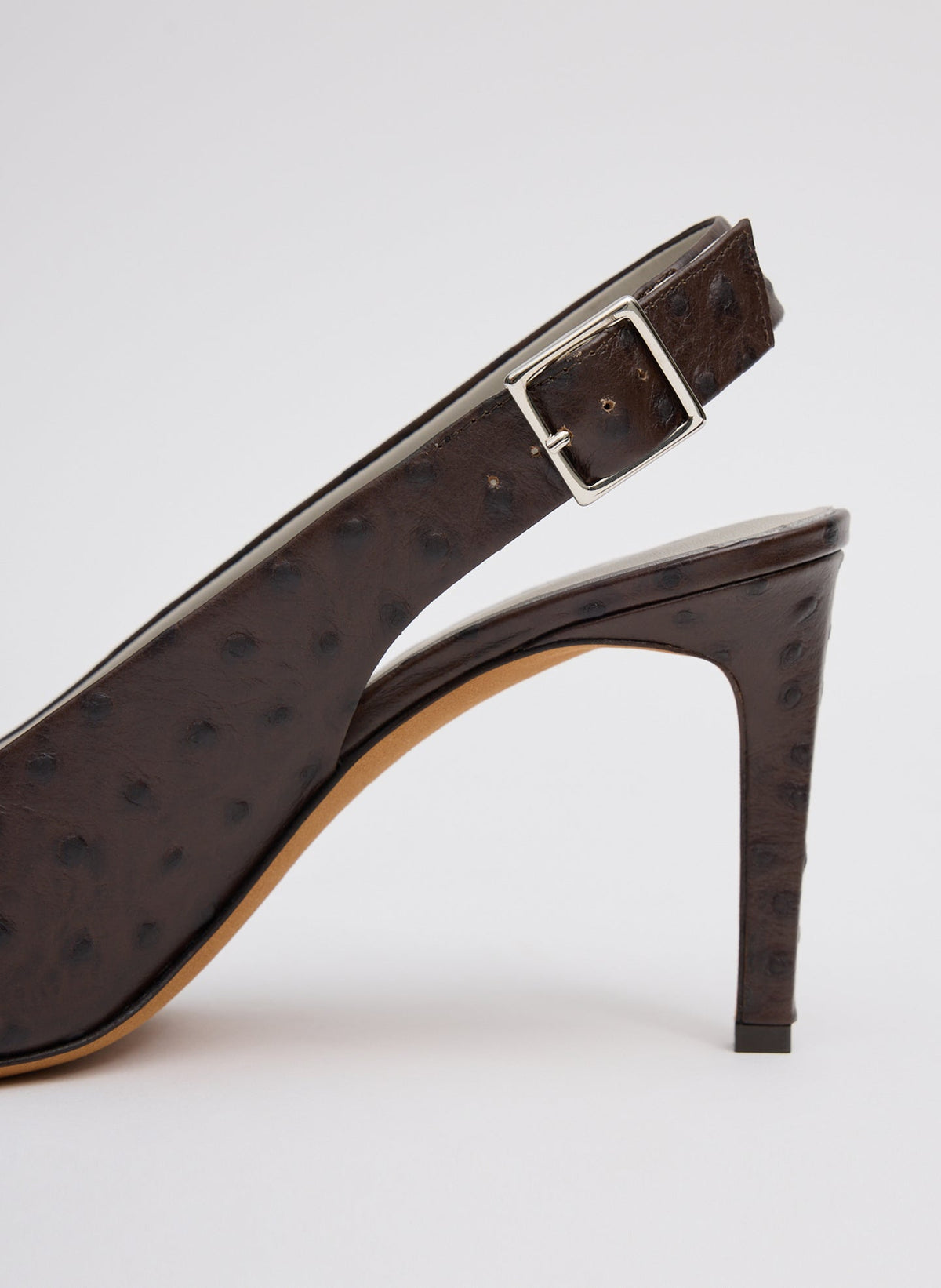 Ostrich Print Reyner Pump | Tibi Premium