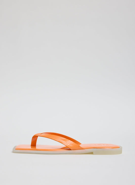 Arnie Sandal | Tibi Value