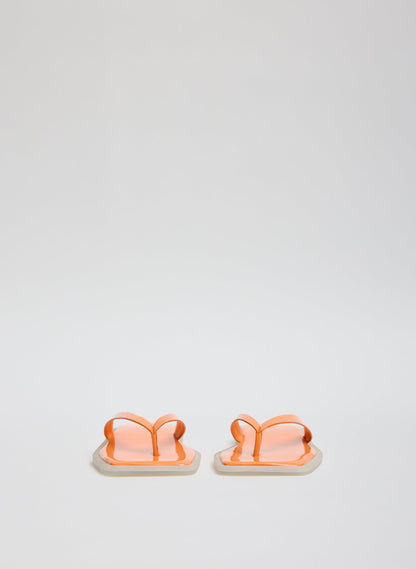 Arnie Sandal | Tibi Value