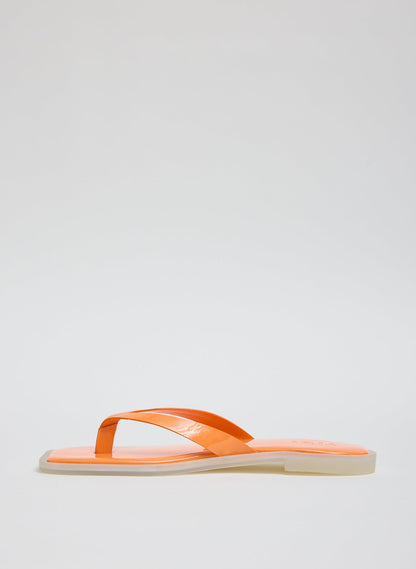 Arnie Sandal | Tibi Value