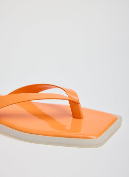 Arnie Sandal | Tibi Value
