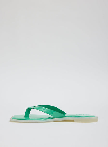 Arnie Sandal | Tibi Essential